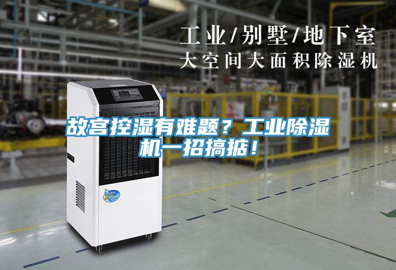 故宮控濕有難題？工業(yè)除濕機一招搞掂！