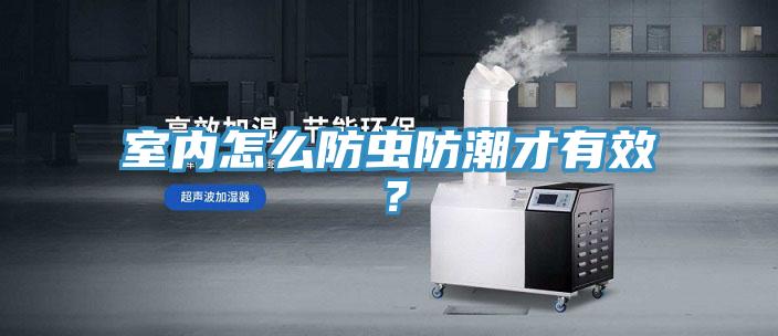 室內怎么防蟲防潮才有效？