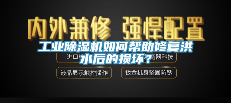 工業(yè)除濕機(jī)如何幫助修復(fù)洪水后的損壞？