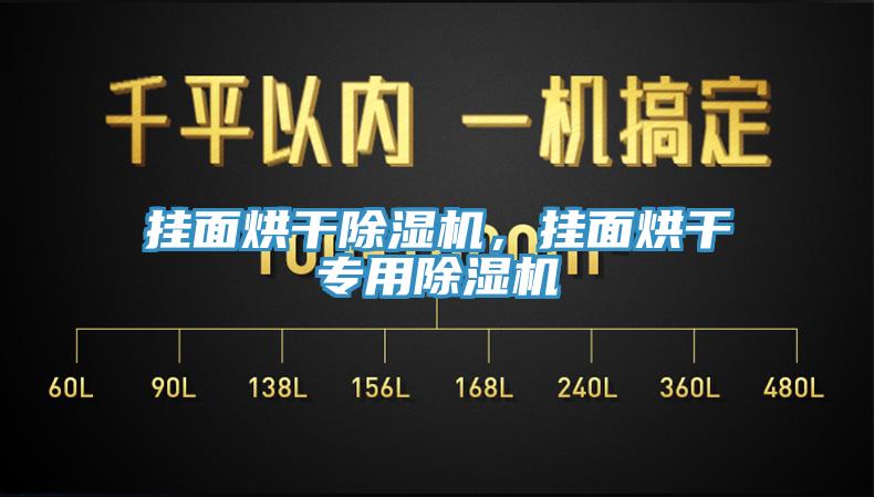 掛面烘干除濕機，掛面烘干專用除濕機