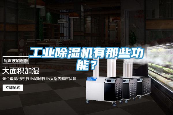 工業(yè)除濕機(jī)有那些功能？