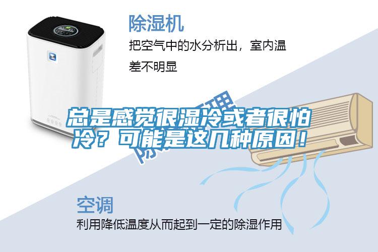 總是感覺很濕冷或者很怕冷？可能是這幾種原因！