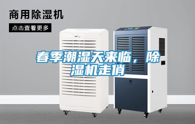 春季潮濕天來(lái)臨，除濕機(jī)走俏