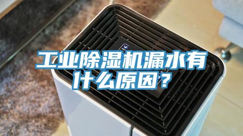 工業(yè)除濕機漏水有什么原因？