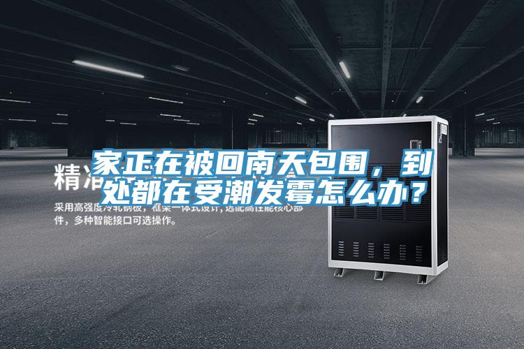 家正在被回南天包圍，到處都在受潮發(fā)霉怎么辦？