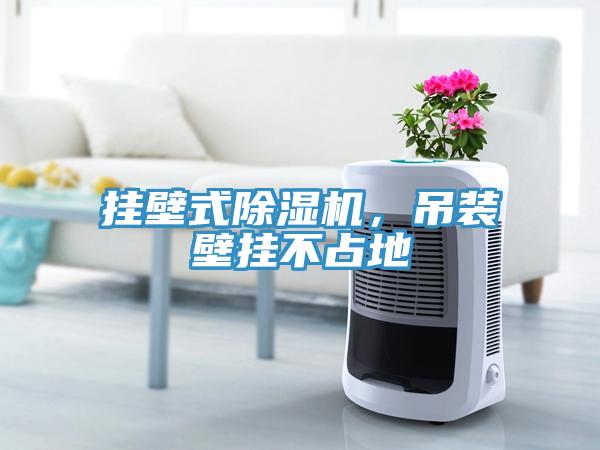 掛壁式除濕機，吊裝壁掛不占地