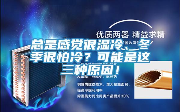 總是感覺很濕冷、冬季很怕冷？可能是這三種原因！
