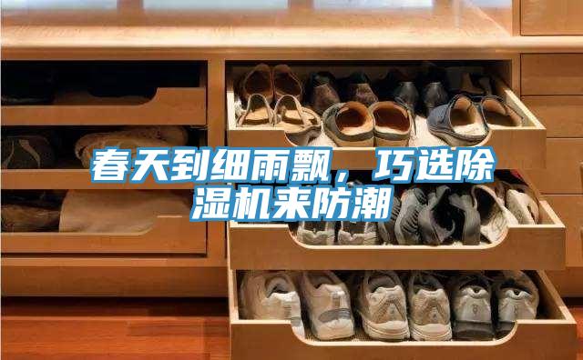春天到細雨飄，巧選除濕機來防潮