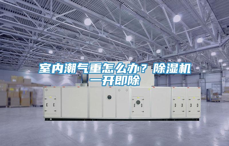 室內(nèi)潮氣重怎么辦？除濕機(jī)一開即除