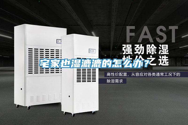 宅家也濕漉漉的怎么辦？