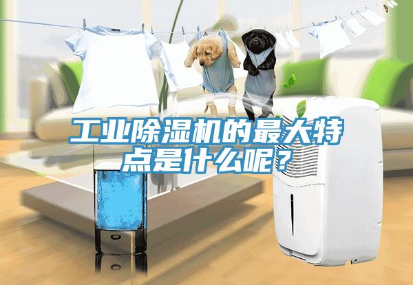 工業(yè)除濕機(jī)的最大特點(diǎn)是什么呢？