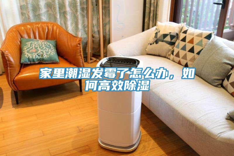 家里潮濕發(fā)霉了怎么辦，如何高效除濕