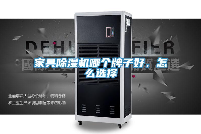 家具除濕機哪個牌子好，怎么選擇