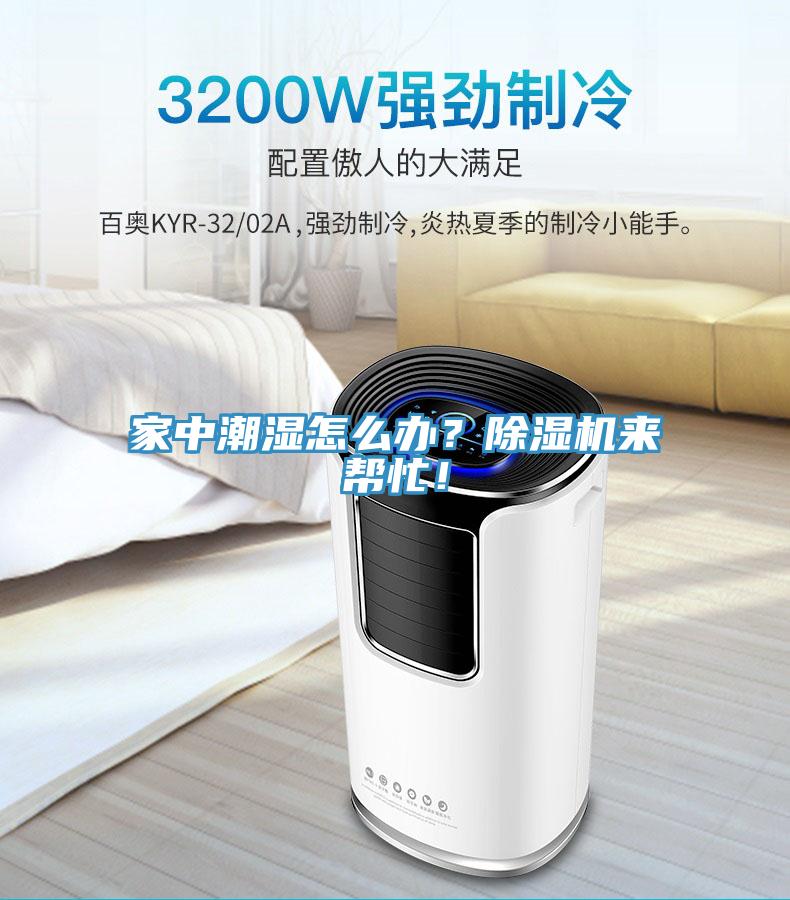 家中潮濕怎么辦？除濕機(jī)來(lái)幫忙！