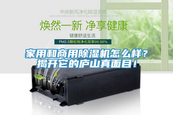 家用和商用除濕機(jī)怎么樣？揭開(kāi)它的廬山真面目！