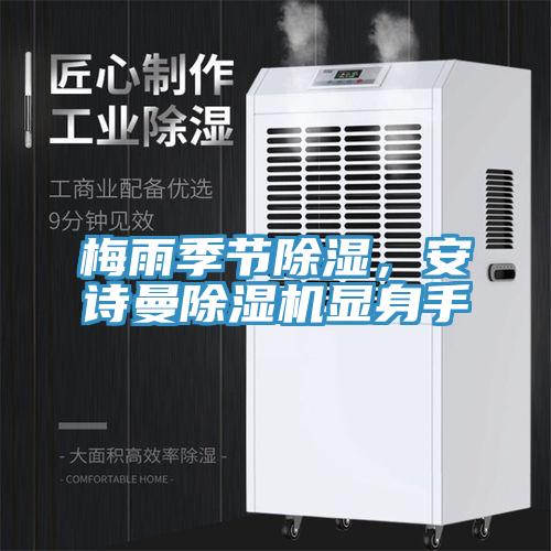 梅雨季節(jié)除濕，安詩曼除濕機顯身手