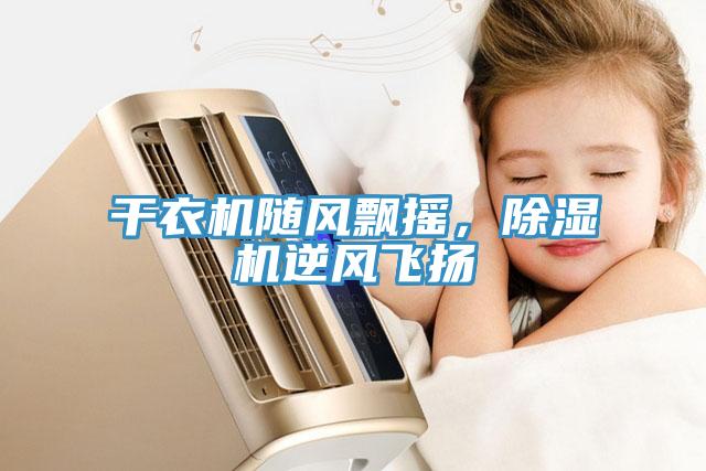 干衣機隨風飄搖，除濕機逆風飛揚