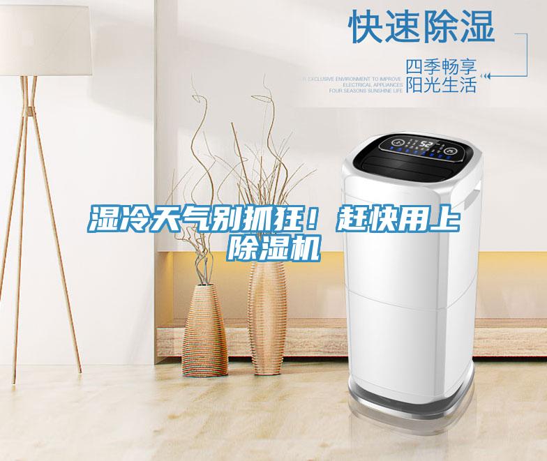 濕冷天氣別抓狂！趕快用上除濕機