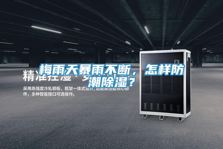 梅雨天暴雨不斷，怎樣防潮除濕？
