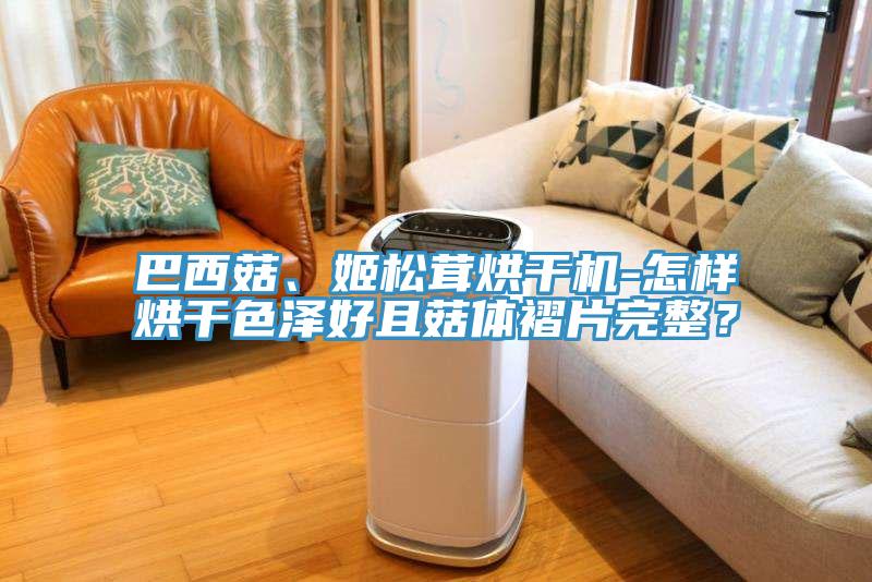 巴西菇、姬松茸烘干機-怎樣烘干色澤好且菇體褶片完整？