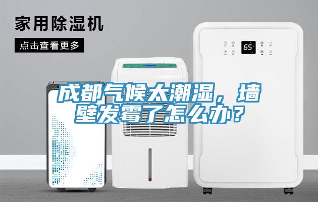 成都?xì)夂蛱睗瘢瑝Ρ诎l(fā)霉了怎么辦？