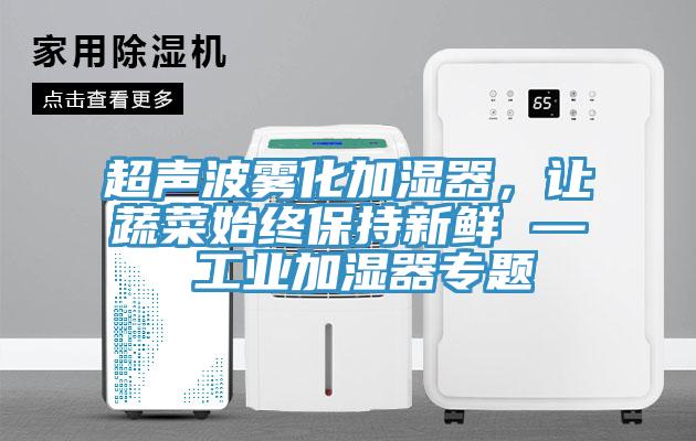 超聲波霧化加濕器，讓蔬菜始終保持新鮮 — 工業(yè)加濕器專題