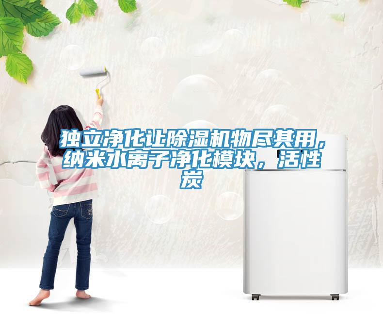 獨立凈化讓除濕機物盡其用，納米水離子凈化模塊，活性炭