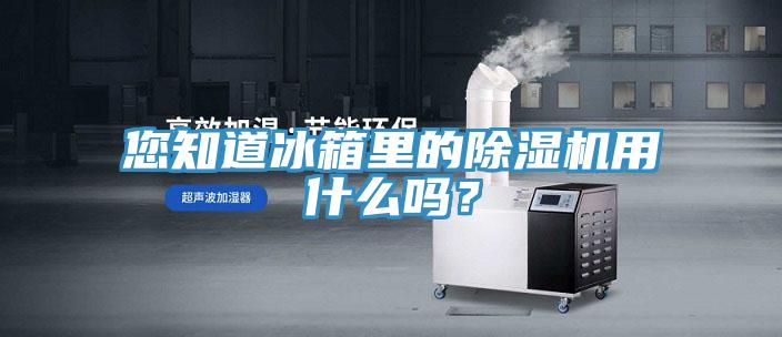 您知道冰箱里的除濕機(jī)用什么嗎？