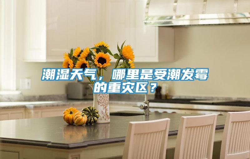 潮濕天氣，哪里是受潮發(fā)霉的重災(zāi)區(qū)？