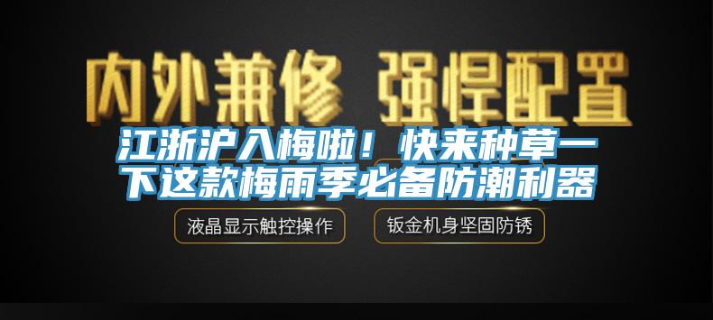 江浙滬入梅啦！快來種草一下這款梅雨季必備防潮利器