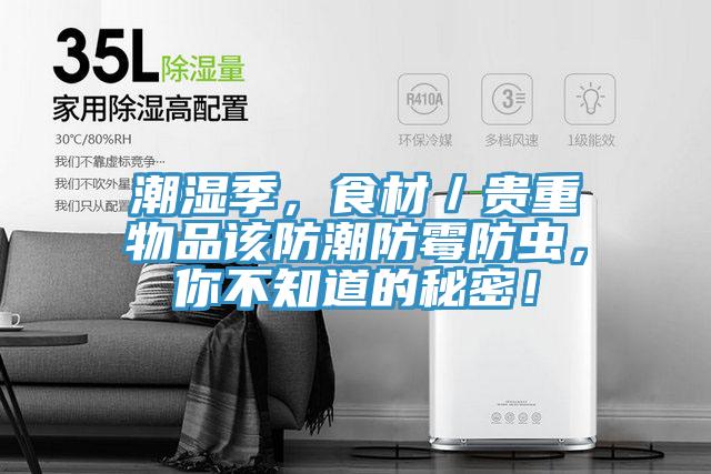 潮濕季，食材／貴重物品該防潮防霉防蟲，你不知道的秘密！