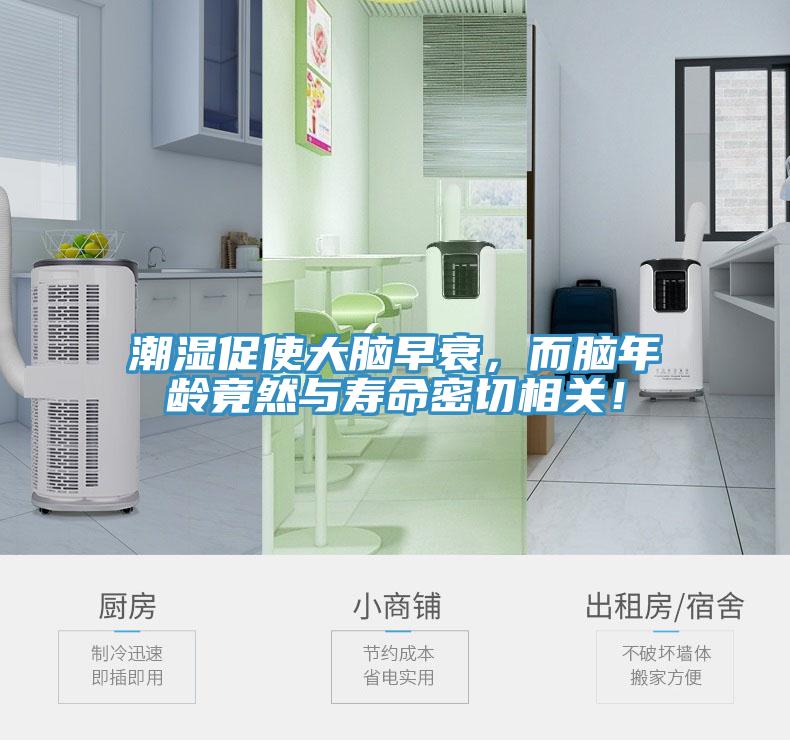 潮濕促使大腦早衰，而腦年齡竟然與壽命密切相關(guān)！