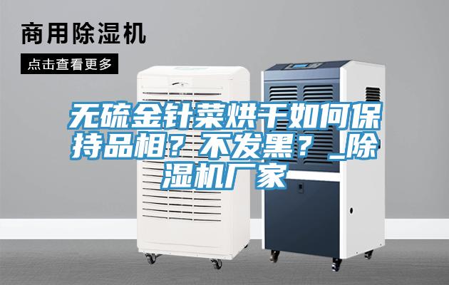 無(wú)硫金針菜烘干如何保持品相？不發(fā)黑？_除濕機(jī)廠家
