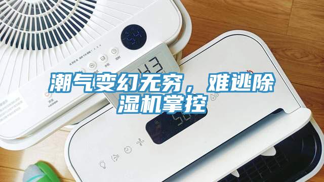 潮氣變幻無窮，難逃除濕機掌控
