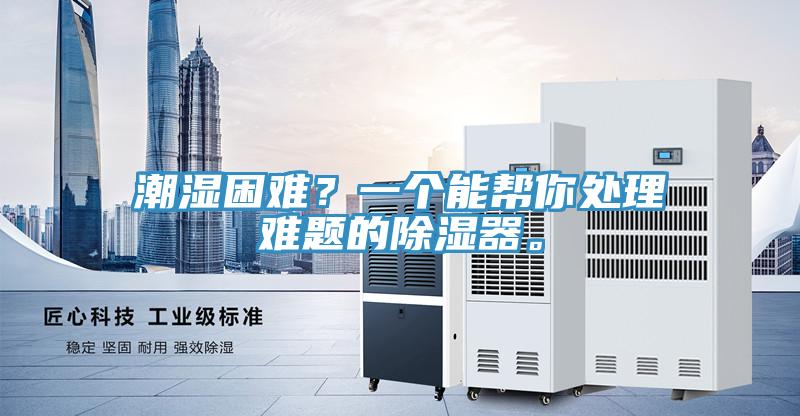 潮濕困難？一個能幫你處理難題的除濕器。