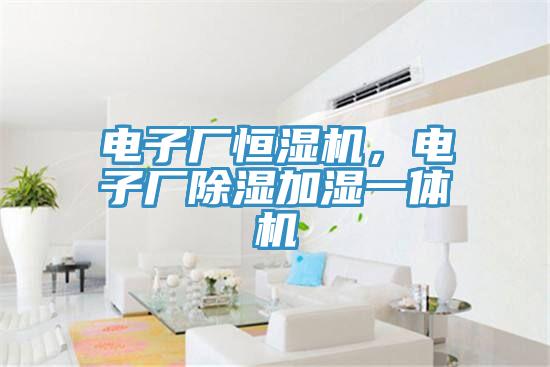 電子廠恒濕機，電子廠除濕加濕一體機