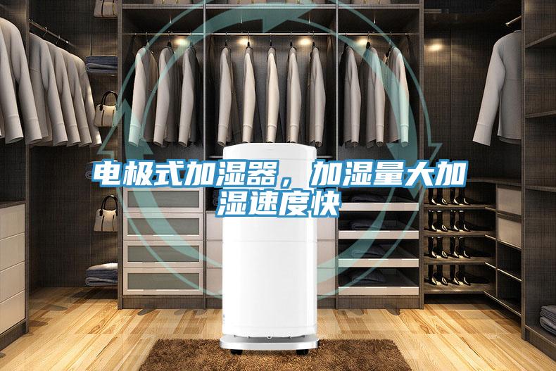 電極式加濕器，加濕量大加濕速度快