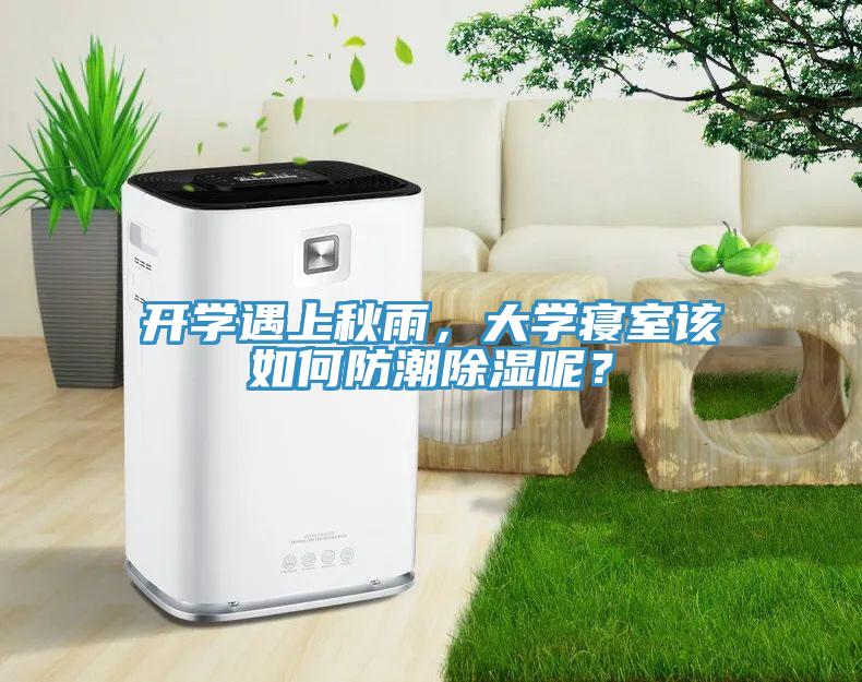 開學(xué)遇上秋雨，大學(xué)寢室該如何防潮除濕呢？