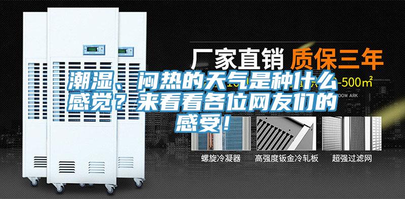 潮濕、悶熱的天氣是種什么感覺？來看看各位網(wǎng)友們的感受！
