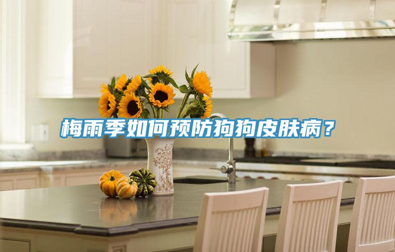 梅雨季如何預(yù)防狗狗皮膚病？