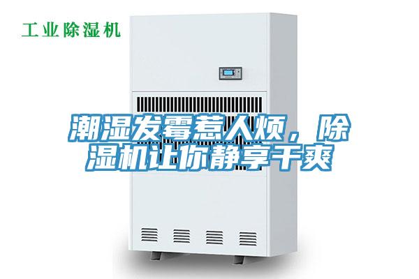 潮濕發(fā)霉惹人煩，除濕機讓你靜享干爽