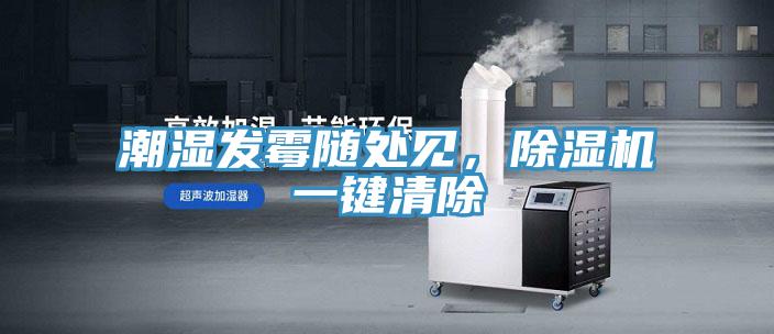 潮濕發(fā)霉隨處見，除濕機一鍵清除