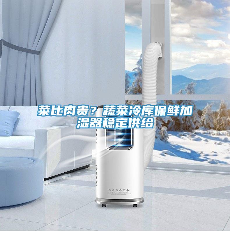菜比肉貴？蔬菜冷庫保鮮加濕器穩(wěn)定供給