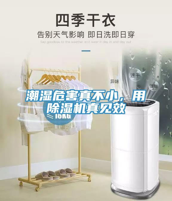 潮濕危害真不小，用除濕機真見效