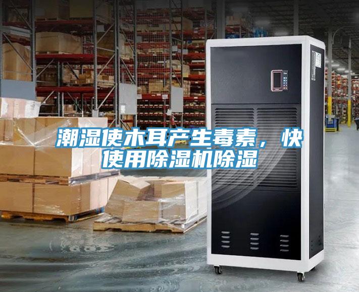 潮濕使木耳產(chǎn)生毒素，快使用除濕機除濕