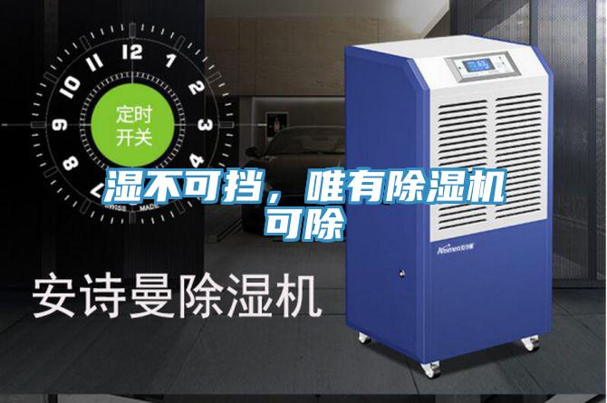 濕不可擋，唯有除濕機(jī)可除
