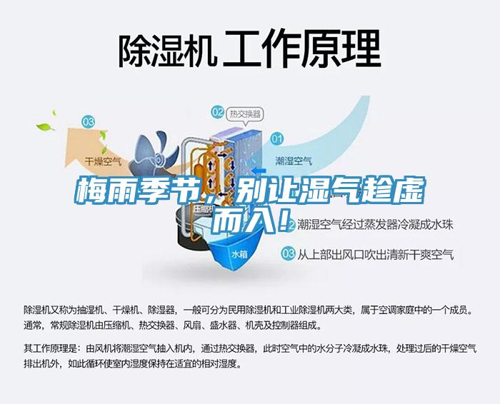 梅雨季節(jié)，別讓濕氣趁虛而入！