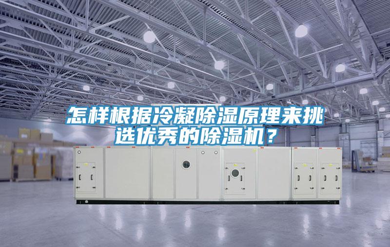 怎樣根據(jù)冷凝除濕原理來挑選優(yōu)秀的除濕機(jī)？