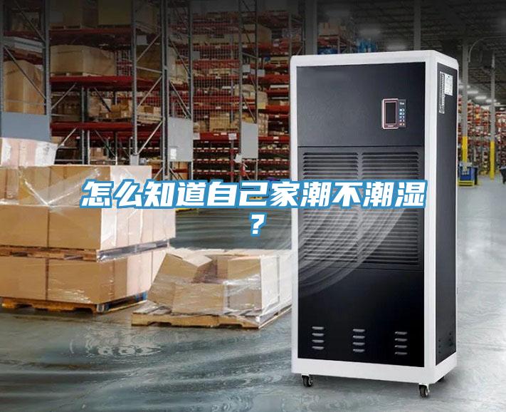 怎么知道自己家潮不潮濕？