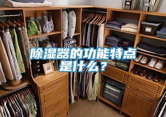 除濕器的功能特點(diǎn)是什么？